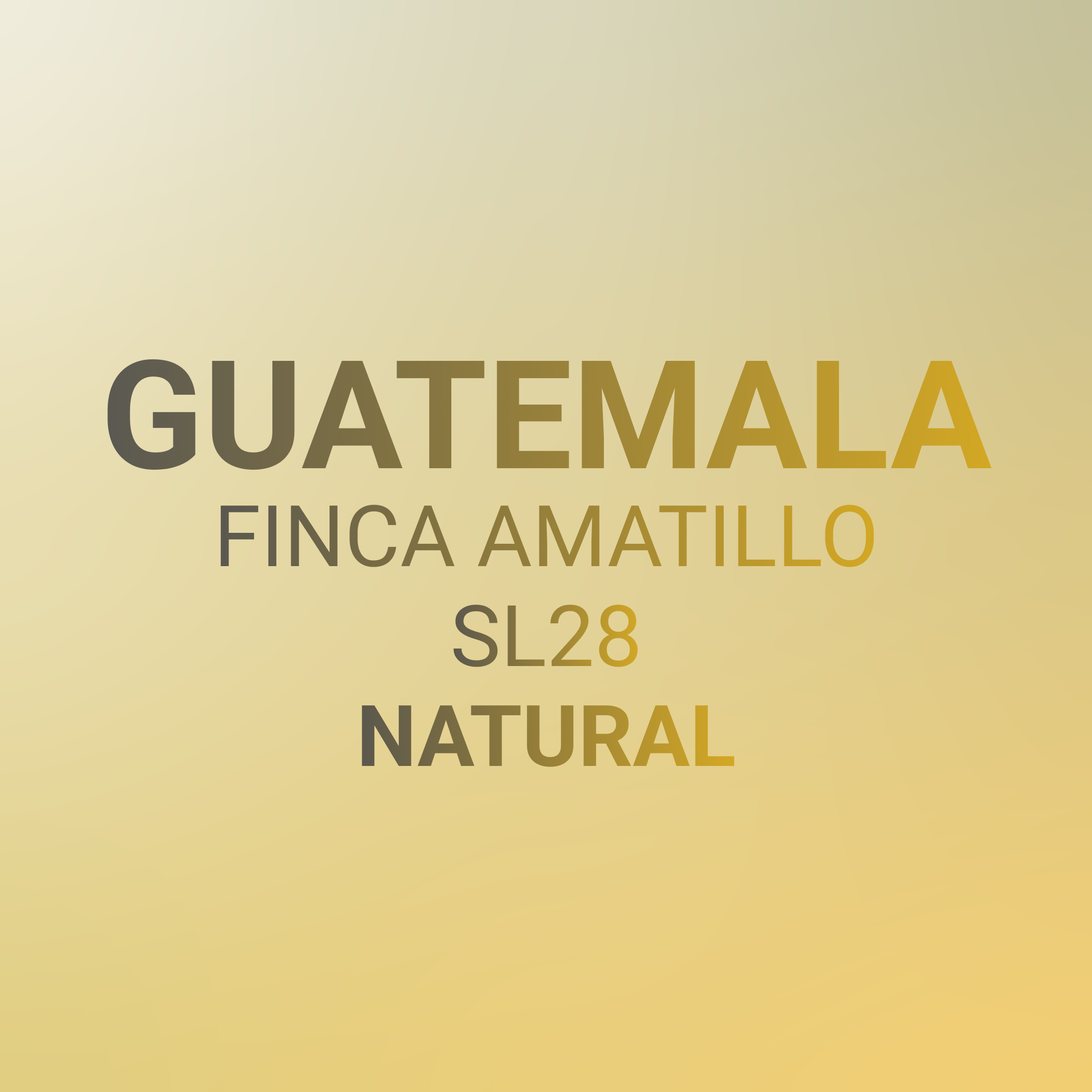 Guatemala, Finca Amatillo